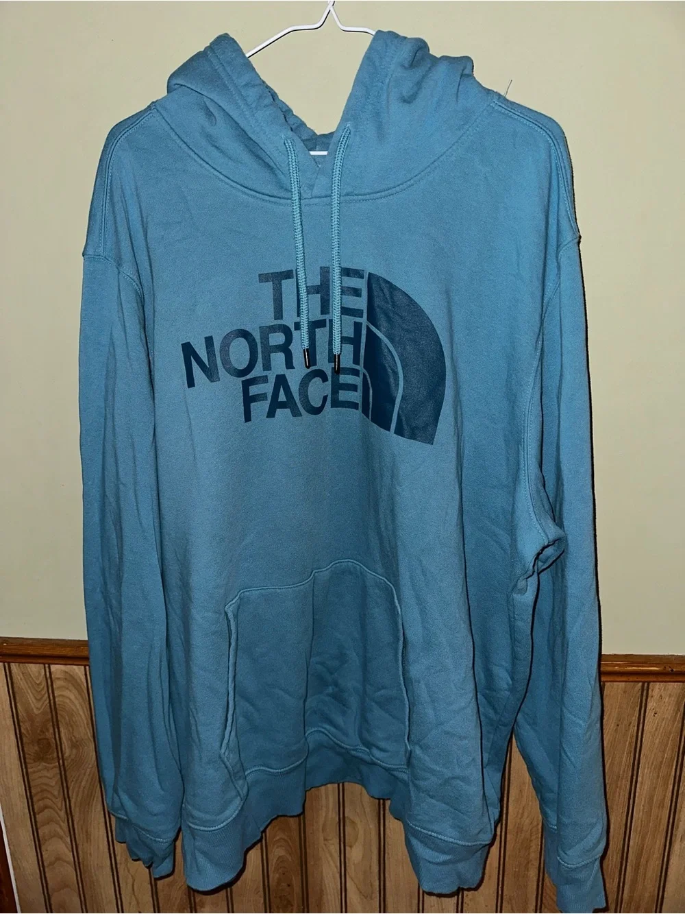 The North Face Men's Pullover Hoodie in Teal